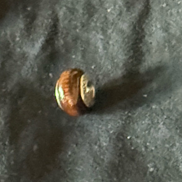 Pandora Authentic Brown / Sterling Silver 925 Retired charm. EUC Beautiful - Picture 4 of 9